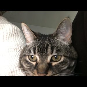 Meet your Posher, Joan